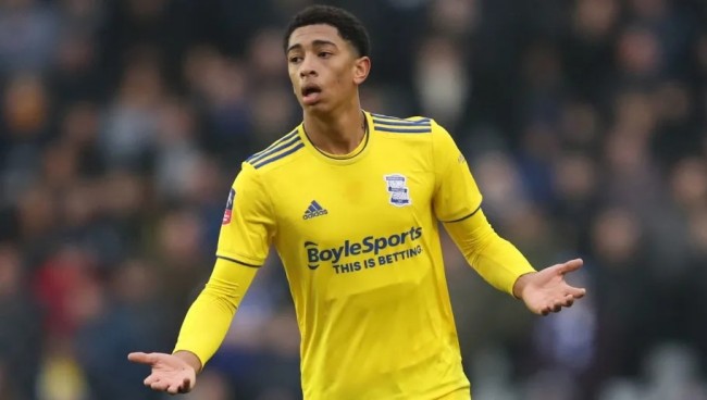 数据栏闪光 数据栏闪光